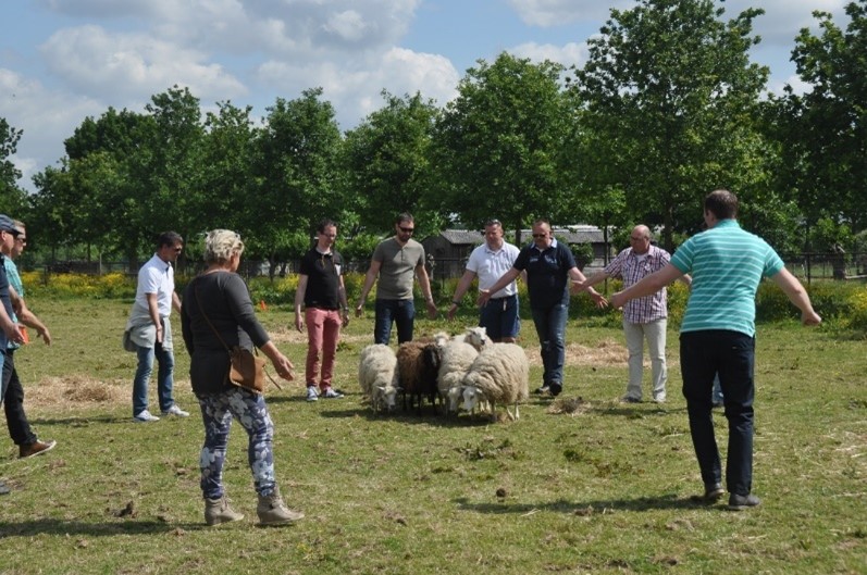 Outdoor-activiteit